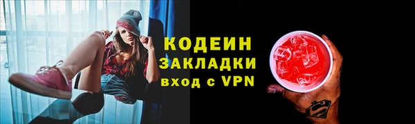 ПСИЛОЦИБИНОВЫЕ ГРИБЫ Вязники